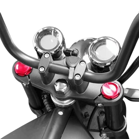 Chopper X9 Plus Elektroroller mit Straßenzulassung: 3000W, 60V/20Ah Lithium-Akku (Schwarz)