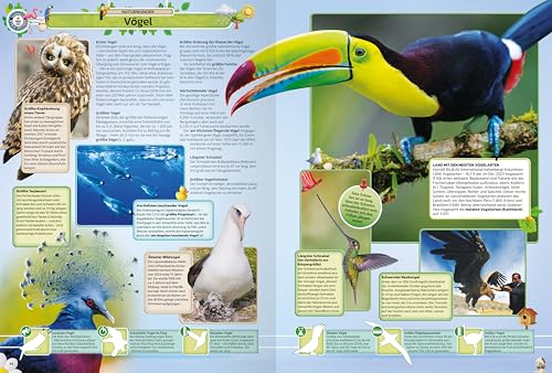 Ravensburger - GUINNESS WORLD RECORDS 2025: Das beliebte Rekorde-Buch für Kinder und Erwachsene