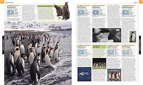 Ozeane: Die große Bild-Enzyklopädie mit mehr als 2000 Fotografien und Illustrationen