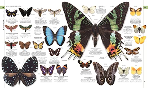 Die Natur in über 5000 Fotos: Die visuelle Enzyklopädie der Pflanzen, Tiere und Mikroorganismen