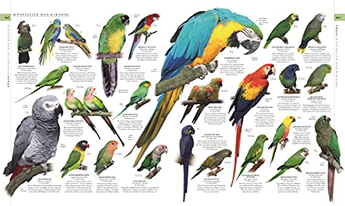 Die Natur in über 5000 Fotos: Die visuelle Enzyklopädie der Pflanzen, Tiere und Mikroorganismen