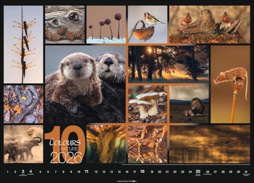 Calendar 'Colours of Nature' 2026: Large photo wall calendar in landscape format (68x49cm)