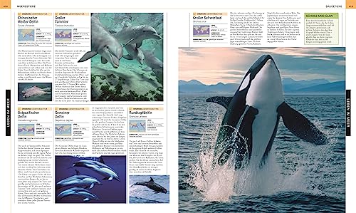 Ozeane: Die große Bild-Enzyklopädie mit mehr als 2000 Fotografien und Illustrationen