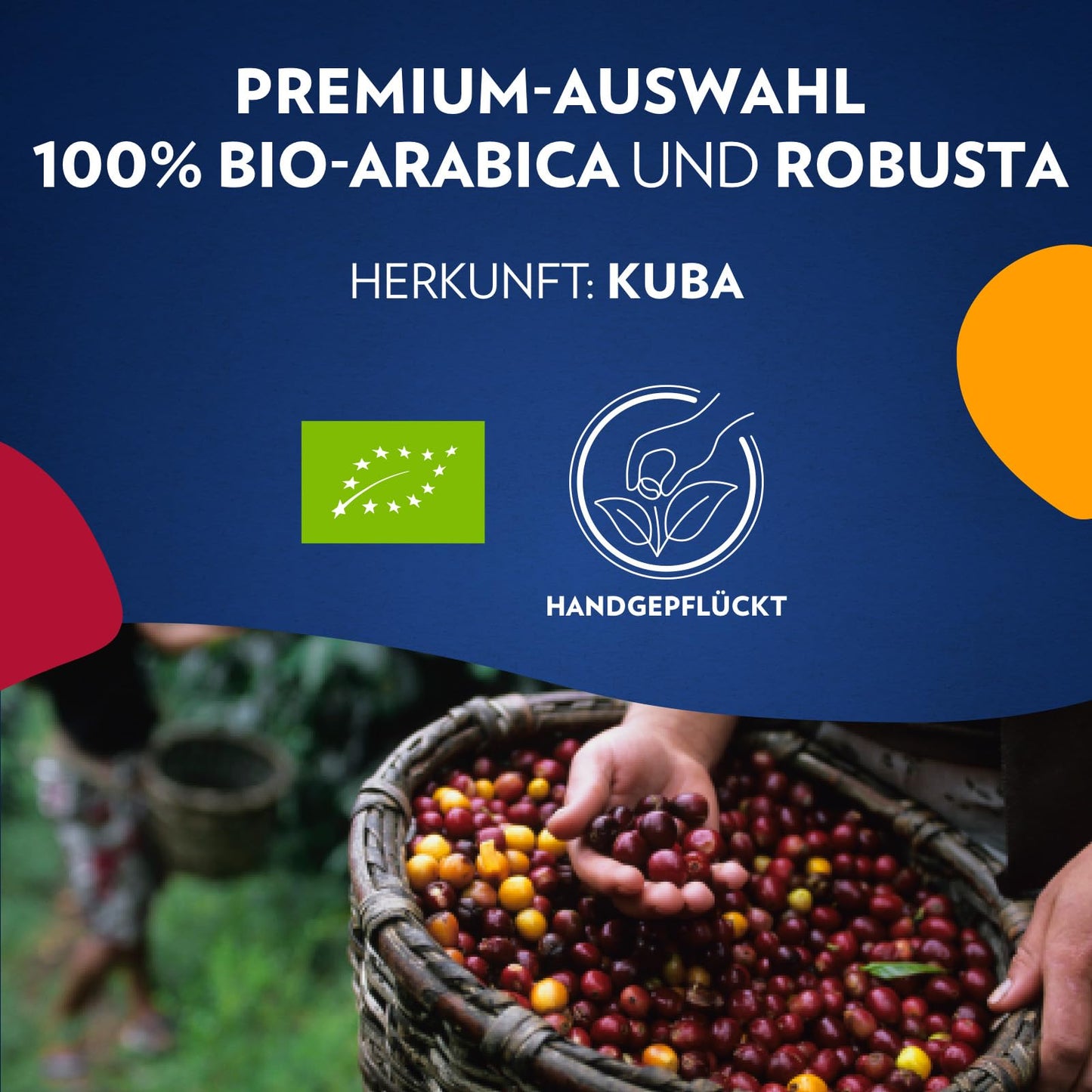 LAVAZZA 'Tierra for Cuba' Bio-Kaffeebohnen (1kg) mit Aromen von Schokolade & Trockenfrüchten | Intensität: 7/10