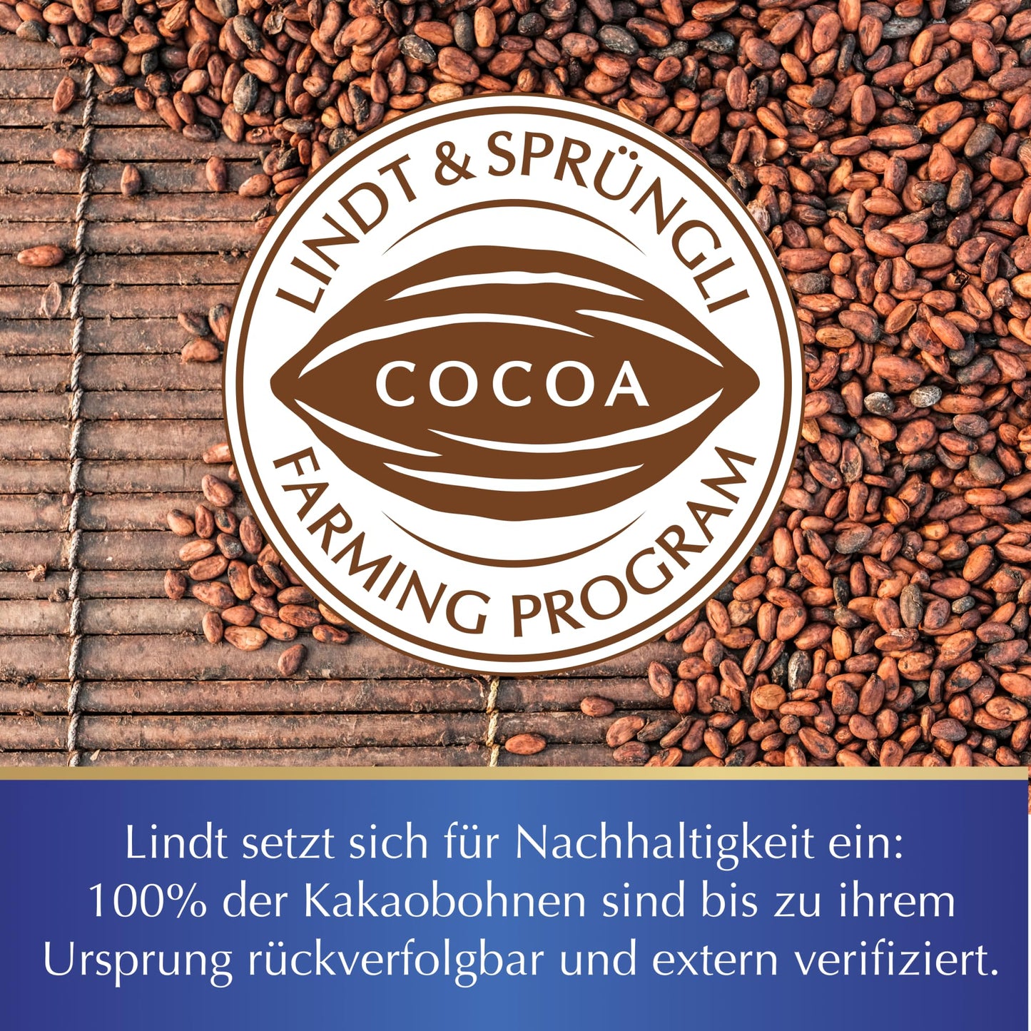 Lindt Schokolade Swiss Napolitains (1 kg): Vollmilchschokoladen Mini Tafeln