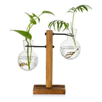 Transparente Glühbirnenvase mit Holzständer | Hydroponik