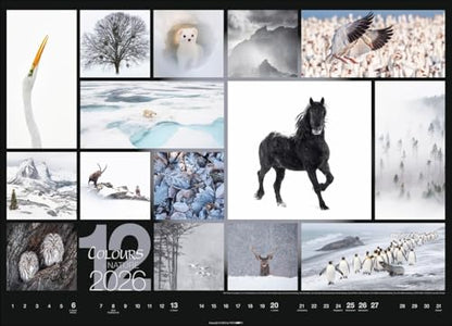 Kalender 'Colours of Nature' 2026: Großer Foto-Wandkalender im Querformat (68x49cm)