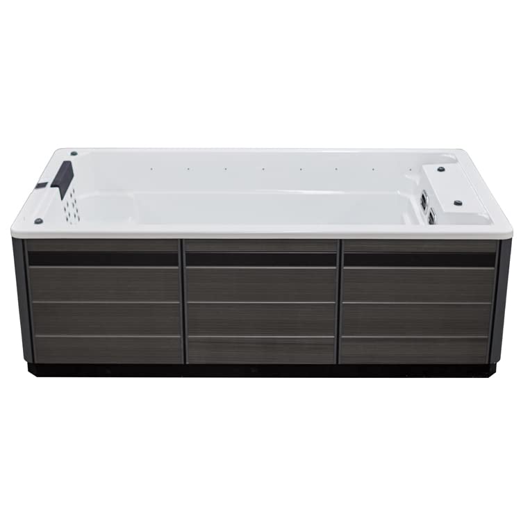 AWT AQART Design SwimSpa for 4 people: Exclusive whirlpool pool combination