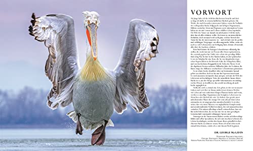 Die Natur in über 5000 Fotos: Die visuelle Enzyklopädie der Pflanzen, Tiere und Mikroorganismen