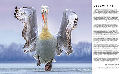 Die Natur in über 5000 Fotos: Die visuelle Enzyklopädie der Pflanzen, Tiere und Mikroorganismen