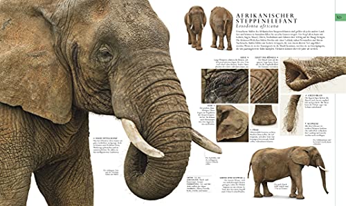 Die Natur in über 5000 Fotos: Die visuelle Enzyklopädie der Pflanzen, Tiere und Mikroorganismen