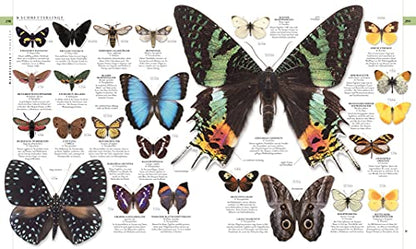 Die Natur in über 5000 Fotos: Die visuelle Enzyklopädie der Pflanzen, Tiere und Mikroorganismen