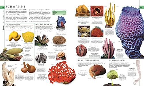 Die Natur in über 5000 Fotos: Die visuelle Enzyklopädie der Pflanzen, Tiere und Mikroorganismen