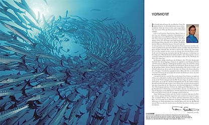 Ozeane: Die große Bild-Enzyklopädie mit mehr als 2000 Fotografien und Illustrationen