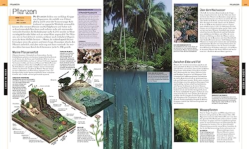 Ozeane: Die große Bild-Enzyklopädie mit mehr als 2000 Fotografien und Illustrationen