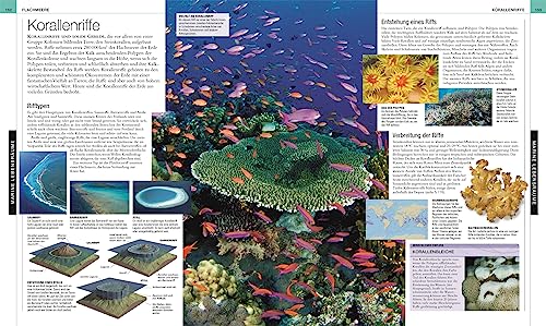 Ozeane: Die große Bild-Enzyklopädie mit mehr als 2000 Fotografien und Illustrationen