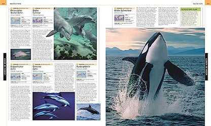 Ozeane: Die große Bild-Enzyklopädie mit mehr als 2000 Fotografien und Illustrationen