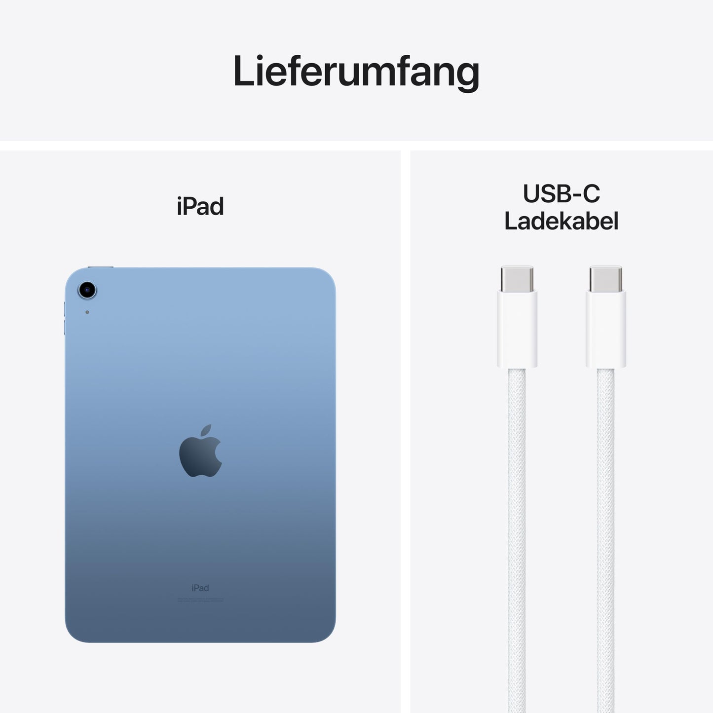 Apple 10,9" iPad (Wi-Fi, 64GB) in Blau (10. Generation)