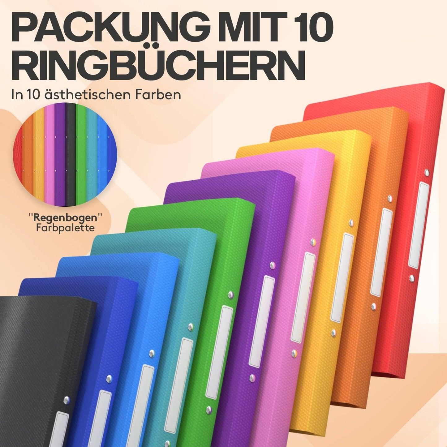 ACROPAQ ring binders in A4 format with spine labels (10 pieces): School folders