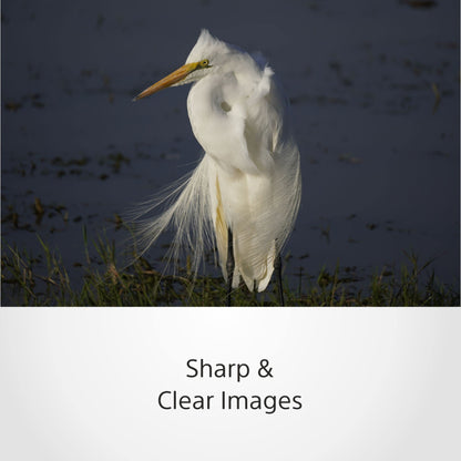 Sony E 70-350mm f/4.5-6.3 G OSS | APS-C, Super-Telezoom-Objektiv (SEL70350G)