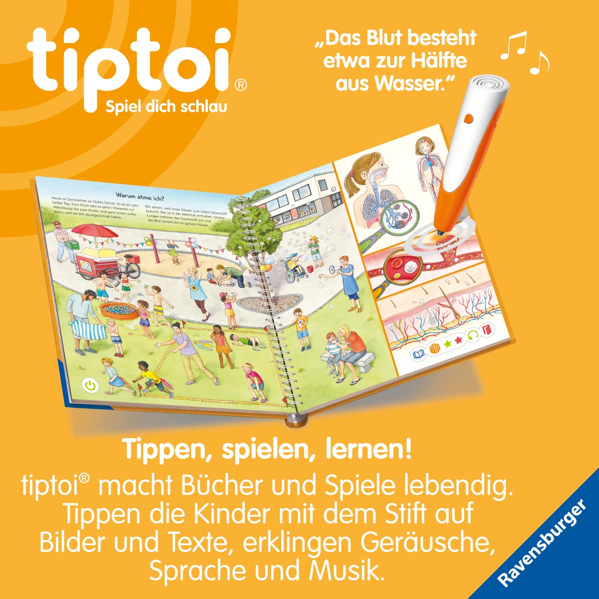 Ravensburger - tiptoi® Wieso? Weshalb? Warum? Alles über den Körper: Buch für Kinder ab 4 Jahre