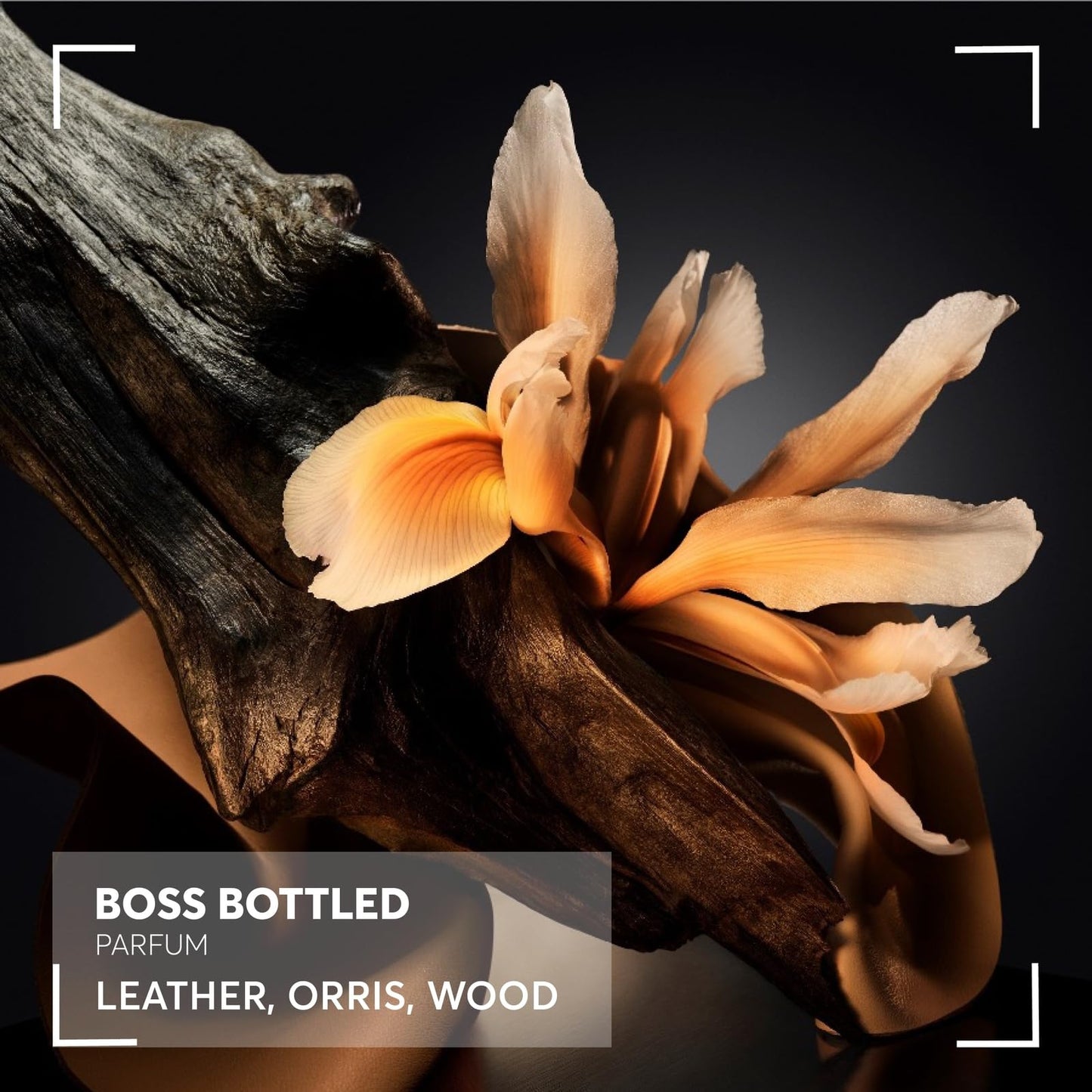 BOSS Bottled Parfum für Herren für langanhaltende Frische und Eleganz