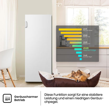 Hisense (FV191N4AW2) Gefrierschrank - TotalNoFrost - Türalarm - Multiflow 360° | 205kWh