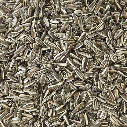 Dehner Natura Premium Year-Round Wild Bird Food: Sunflower Seeds (5kg)