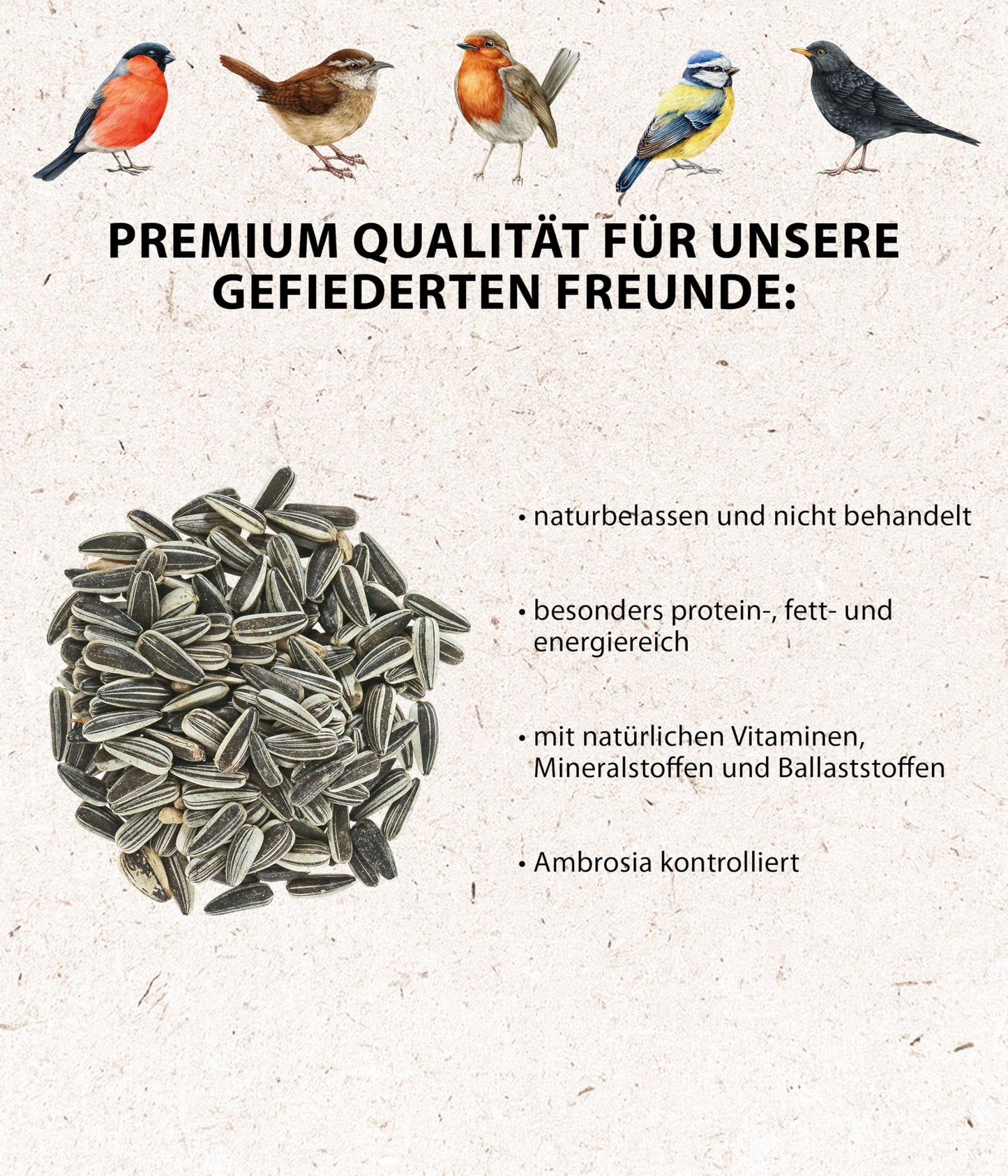 Dehner Natura Premium Year-Round Wild Bird Food: Sunflower Seeds (5kg)