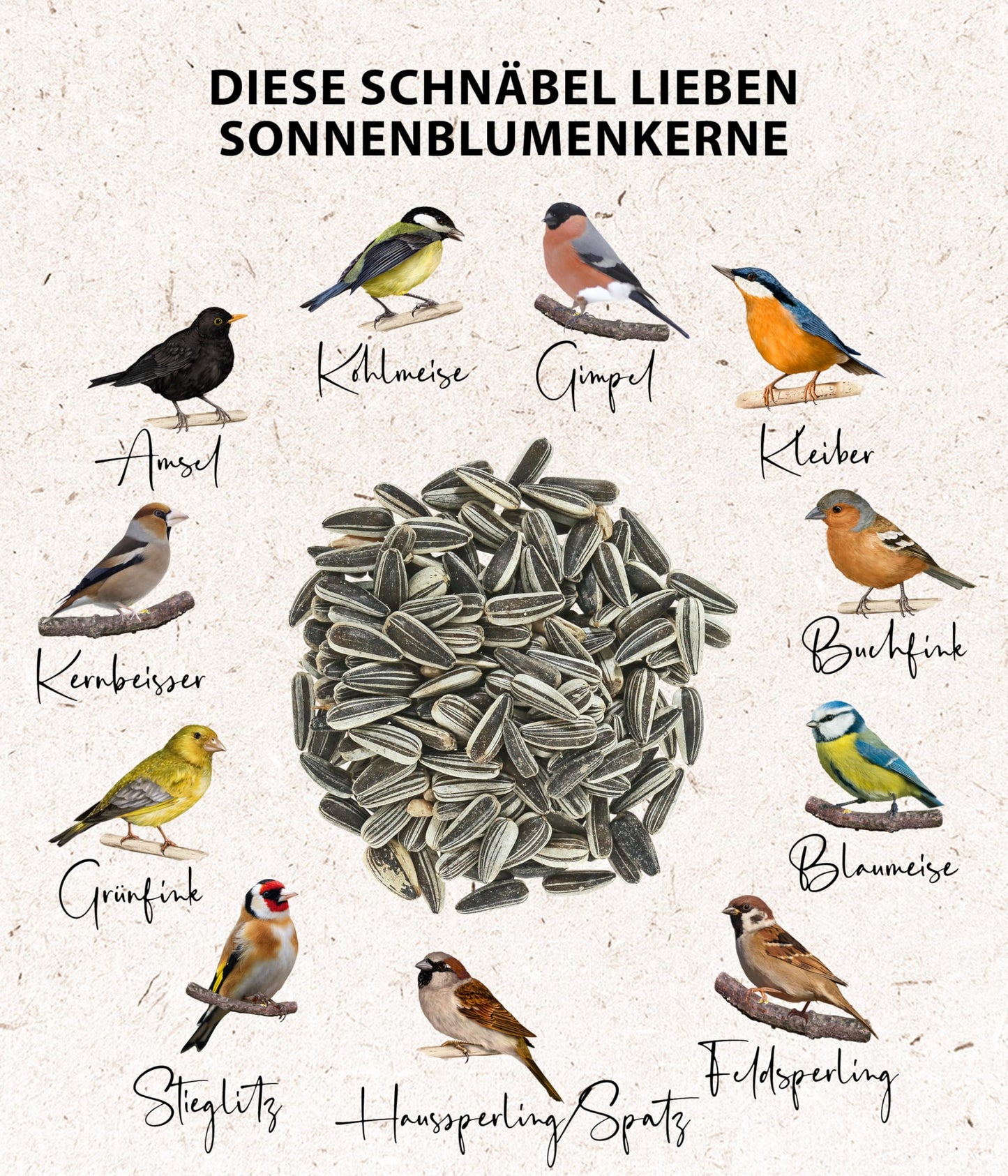 Dehner Natura Premium Year-Round Wild Bird Food: Sunflower Seeds (5kg)