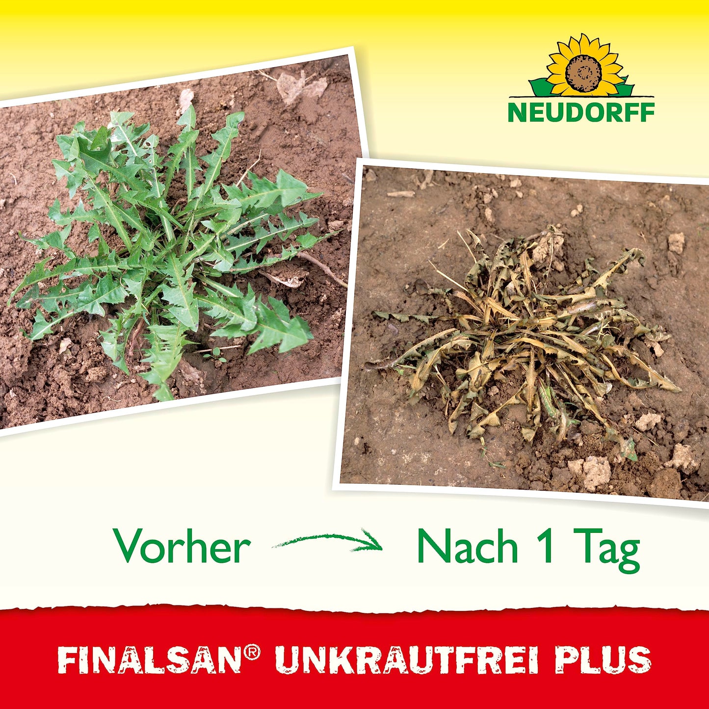 Neudorff Finalsan UnkrautFrei Plus Konzentrat (2L) der bis in die Wurzel wirkt
